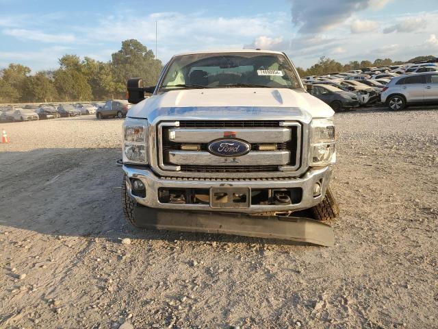 Photo 4 VIN: 1FT8X3BT7GEC56592 - FORD F350 SUPER 