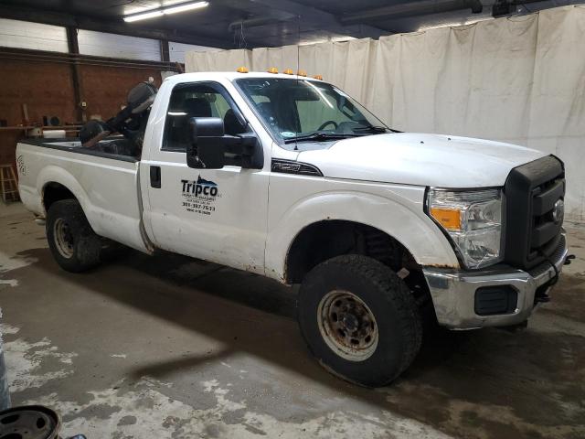 Photo 3 VIN: 1FTBF2B62CEA20391 - FORD F250 