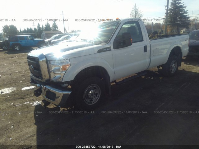 Photo 1 VIN: 1FTBF2B62FEC10096 - FORD SUPER DUTY F-250 SRW 