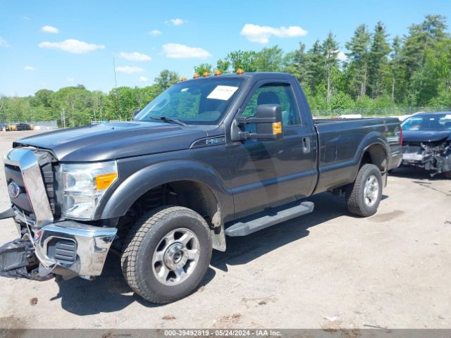 Photo 1 VIN: 1FTBF2B63GEC65769 - FORD F-250 