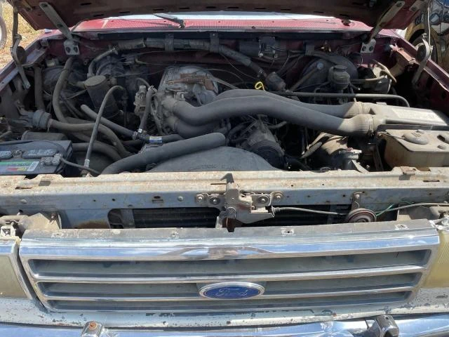 Photo 6 VIN: 1FTDF15N7KKA22580 - FORD F150 