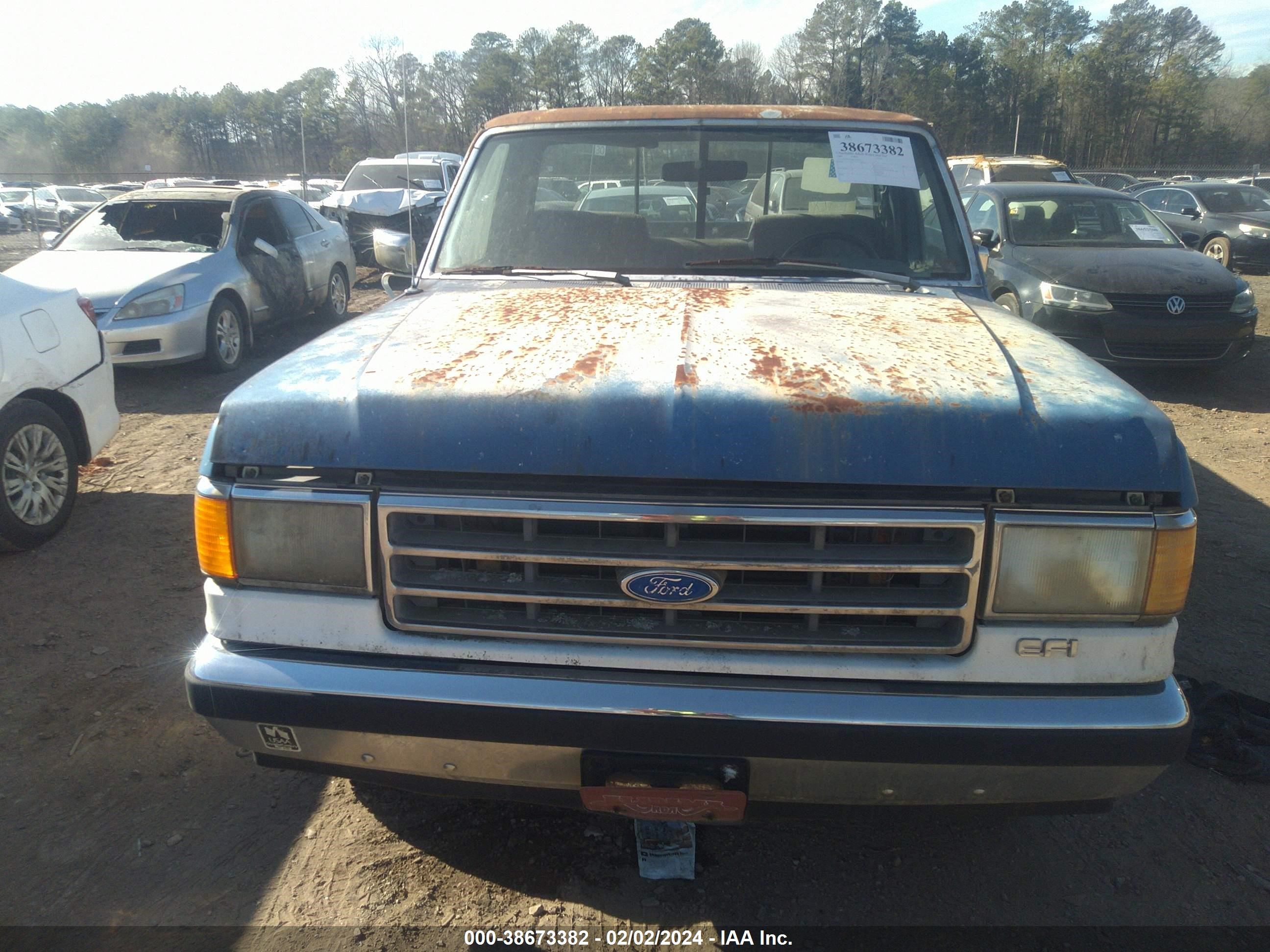 Photo 11 VIN: 1FTDF15N8KNA76033 - FORD F-150 