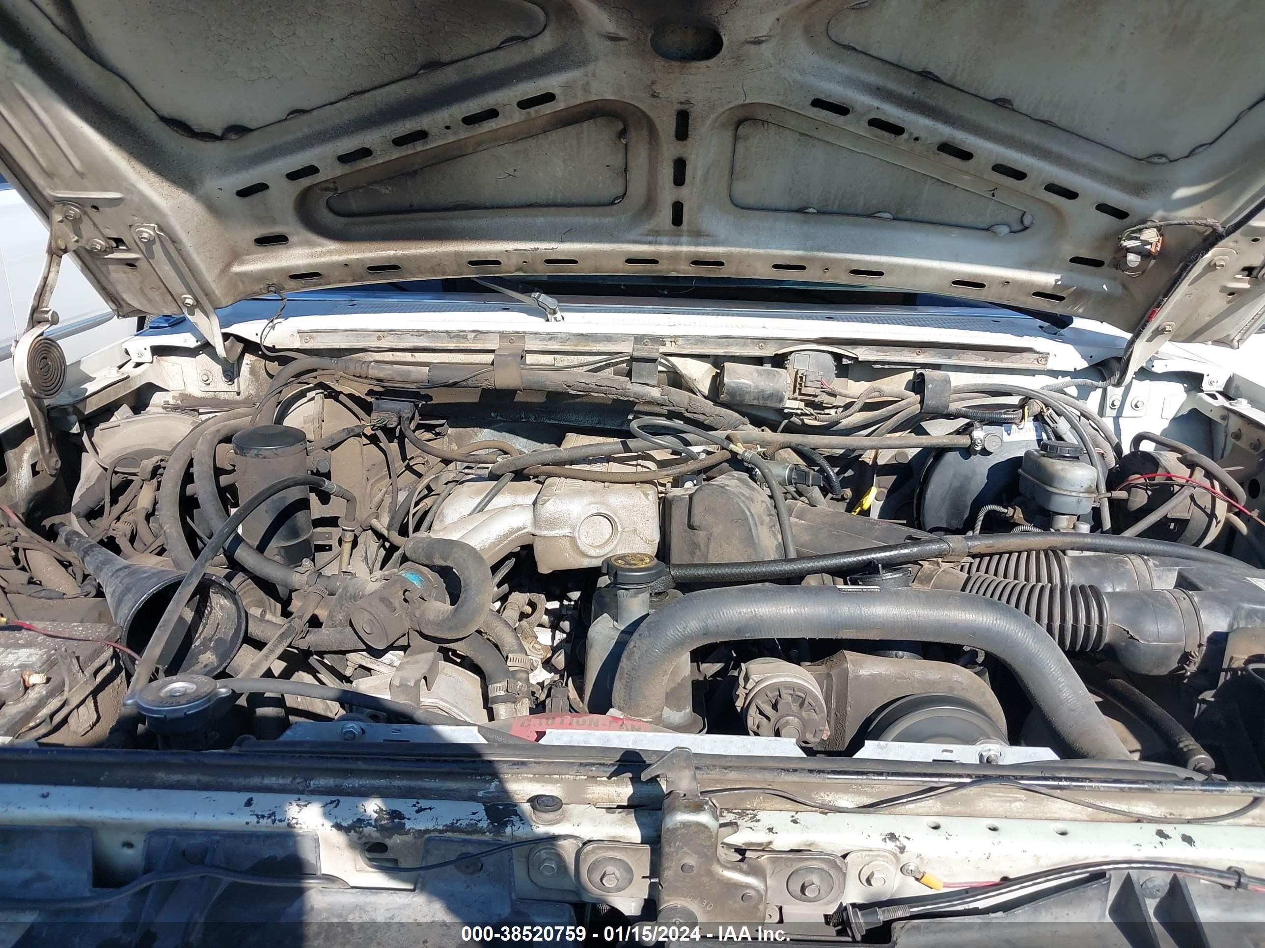 Photo 9 VIN: 1FTDF15Y2LPB40597 - FORD F-150 