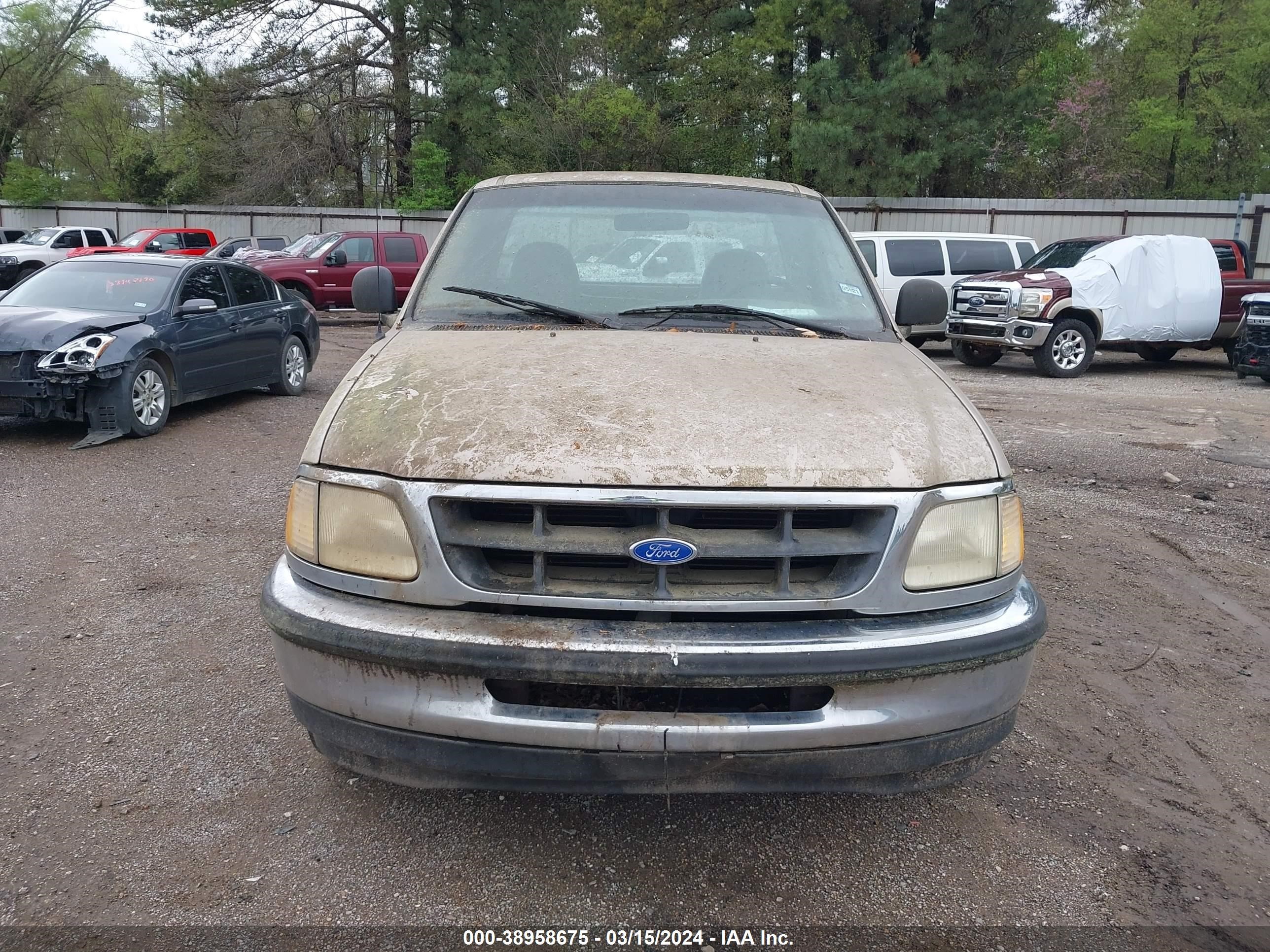 Photo 5 VIN: 1FTDF1726VNC97640 - FORD F-150 