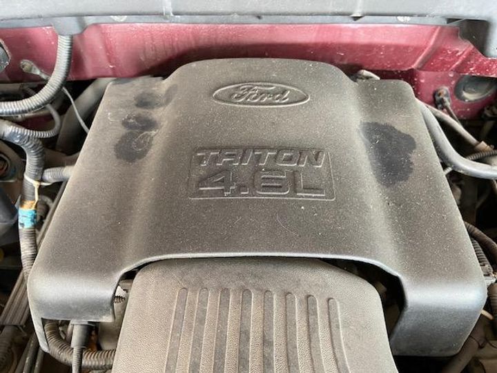 Photo 12 VIN: 1FTDX1869VKA39497 - FORD USA F-150 