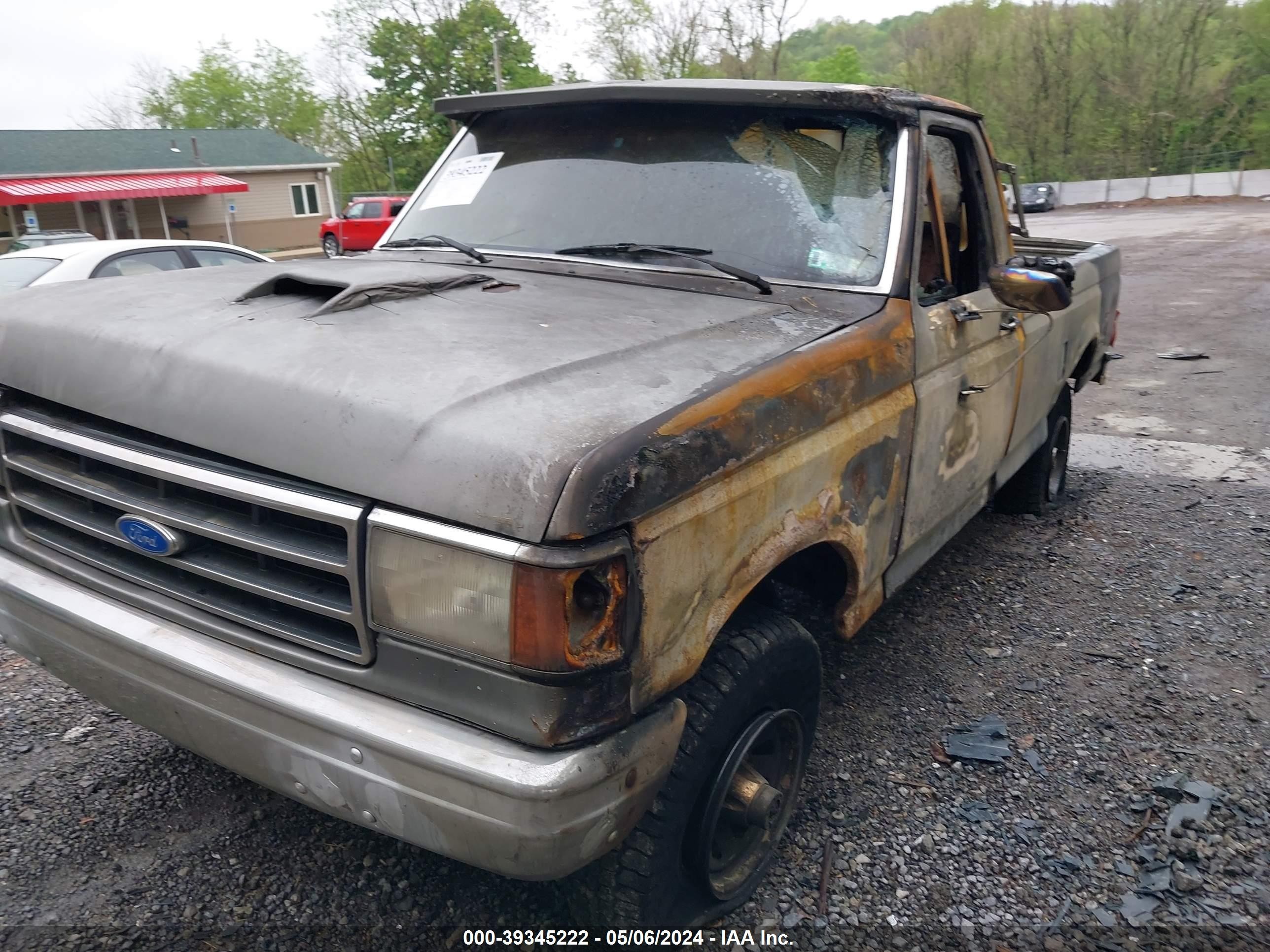 Photo 11 VIN: 1FTEF14N5LLA69916 - FORD F-150 