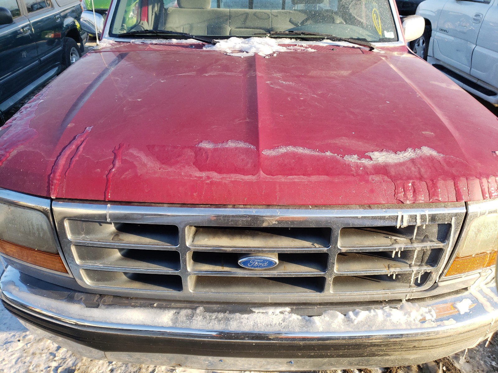 Photo 6 VIN: 1FTEF14Y1RLA84495 - FORD F150 