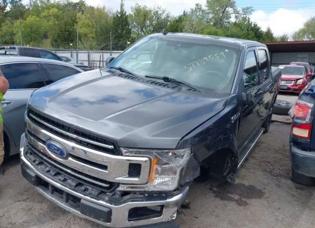 Photo 5 VIN: 1FTEW1C40LFA27189 - FORD F150 