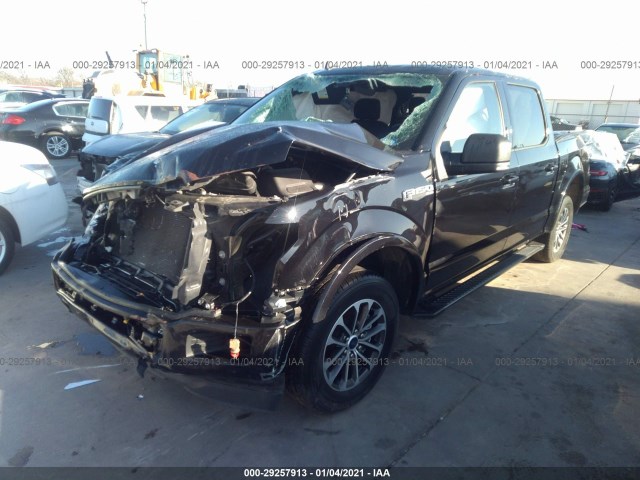 Photo 1 VIN: 1FTEW1C41KKE60767 - FORD F-150 