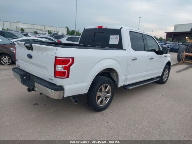 Photo 3 VIN: 1FTEW1C43KKE03874 - FORD F-150 