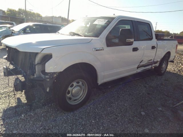 Photo 1 VIN: 1FTEW1C51KKE84785 - FORD F-150 