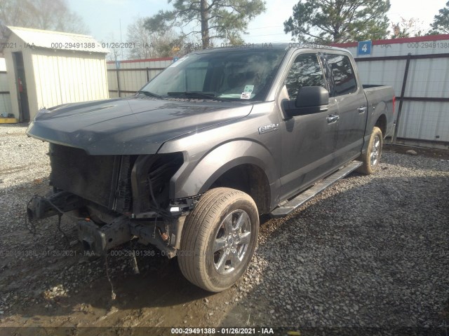 Photo 1 VIN: 1FTEW1C54JKF67075 - FORD F-150 