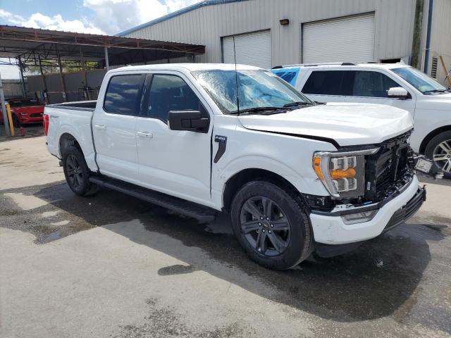 Photo 3 VIN: 1FTEW1C55PFC48429 - FORD F-150 