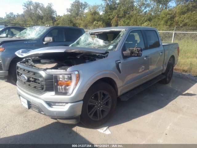 Photo 1 VIN: 1FTEW1C56MFB24245 - FORD F-150 