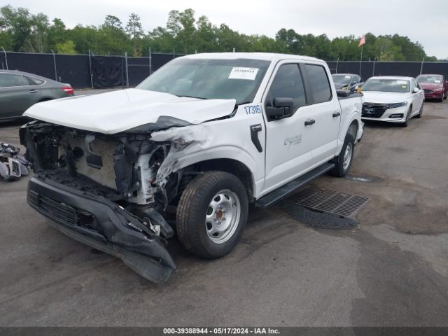 Photo 1 VIN: 1FTEW1C58PKD82438 - FORD F150 