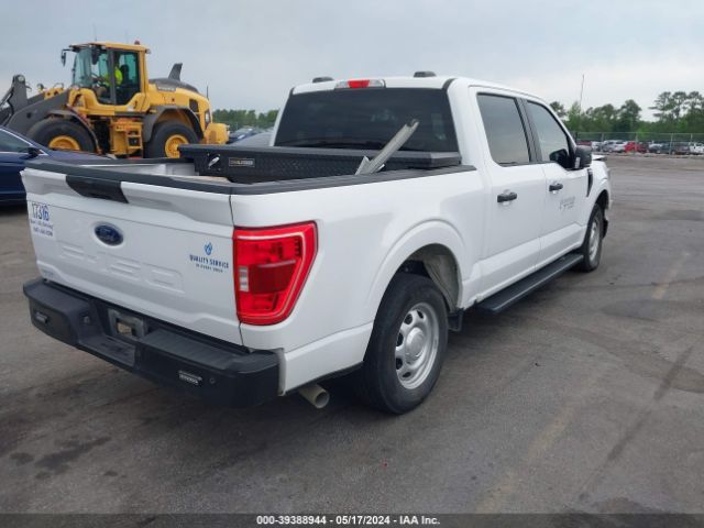 Photo 3 VIN: 1FTEW1C58PKD82438 - FORD F150 