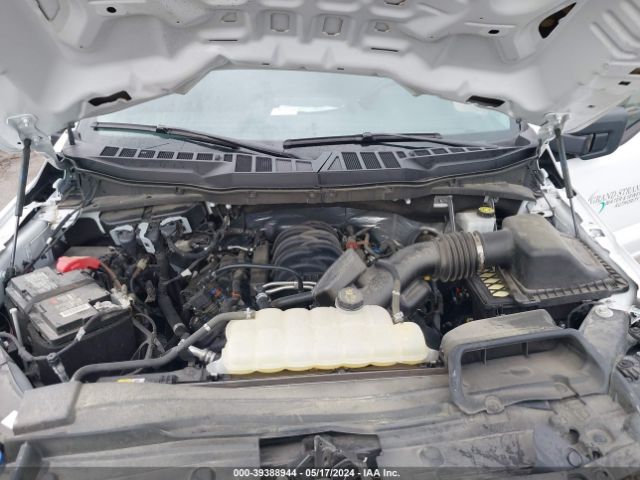 Photo 9 VIN: 1FTEW1C58PKD82438 - FORD F150 