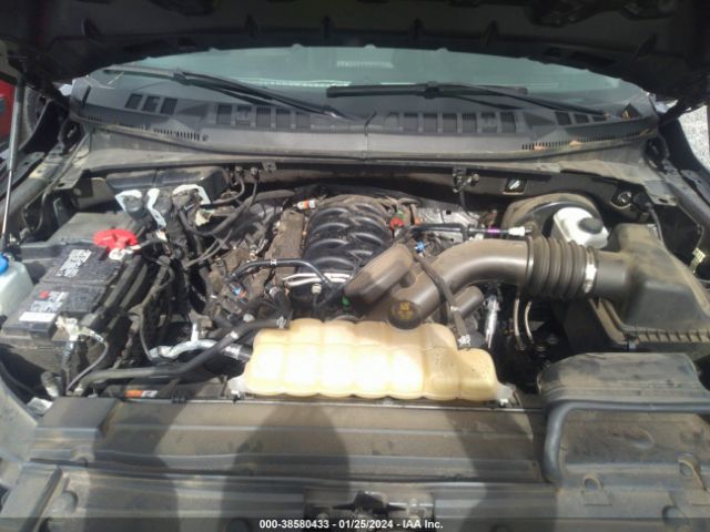 Photo 9 VIN: 1FTEW1C59LFC62411 - FORD F-150 