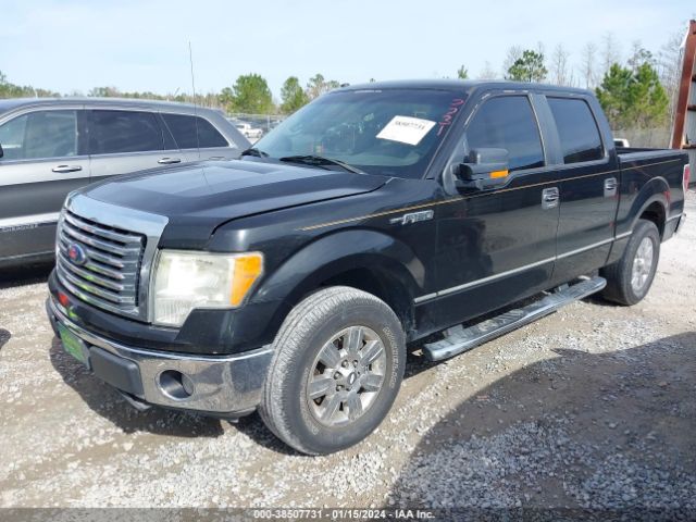 Photo 1 VIN: 1FTEW1C80AFB66724 - FORD F-150 