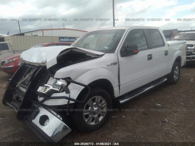 Photo 1 VIN: 1FTEW1C81AFD18106 - FORD F-150 