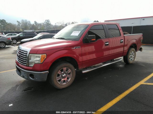 Photo 1 VIN: 1FTEW1C81AFD22463 - FORD F-150 