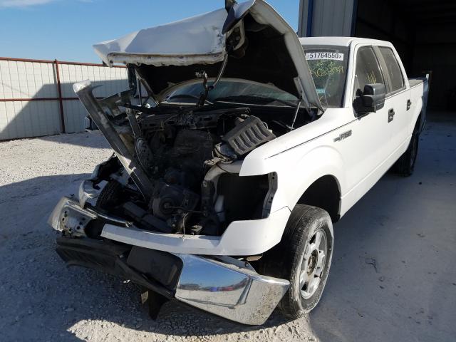 Photo 1 VIN: 1FTEW1C81AKA65439 - FORD F150 SUPER 