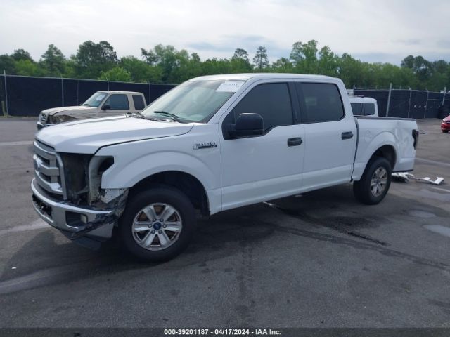 Photo 1 VIN: 1FTEW1C81FKE11321 - FORD F-150 