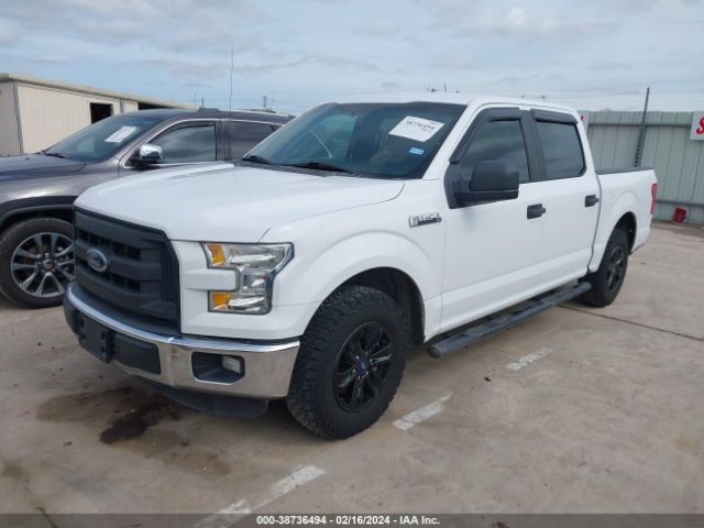 Photo 1 VIN: 1FTEW1C81FKE36994 - FORD F-150 