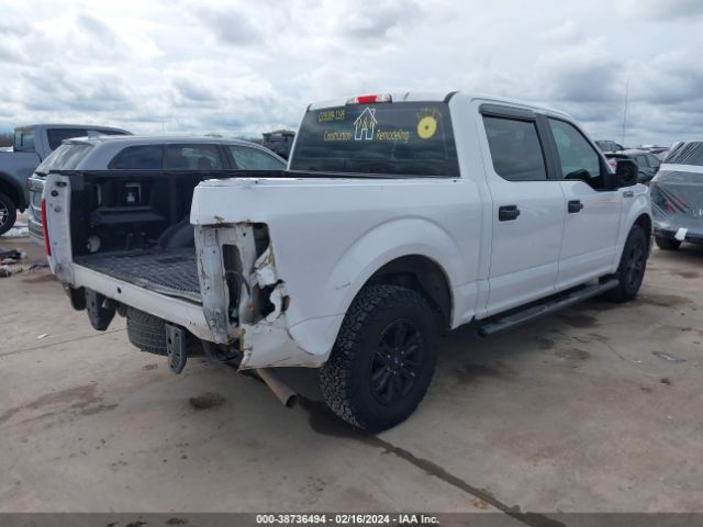 Photo 3 VIN: 1FTEW1C81FKE36994 - FORD F-150 