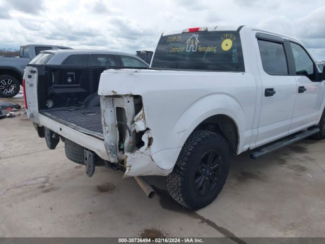 Photo 5 VIN: 1FTEW1C81FKE36994 - FORD F-150 