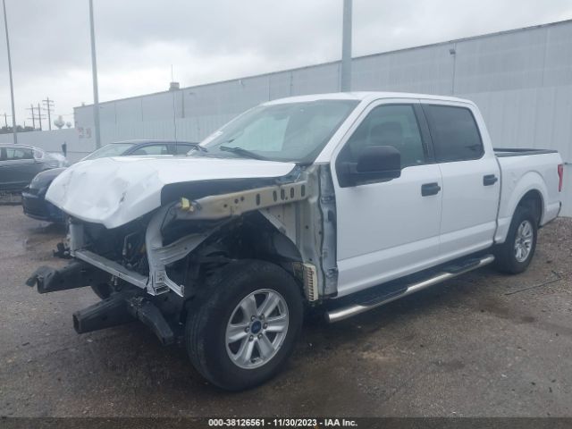 Photo 1 VIN: 1FTEW1C81GKD29025 - FORD F-150 