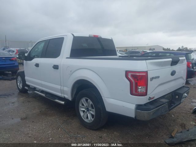 Photo 2 VIN: 1FTEW1C81GKD29025 - FORD F-150 