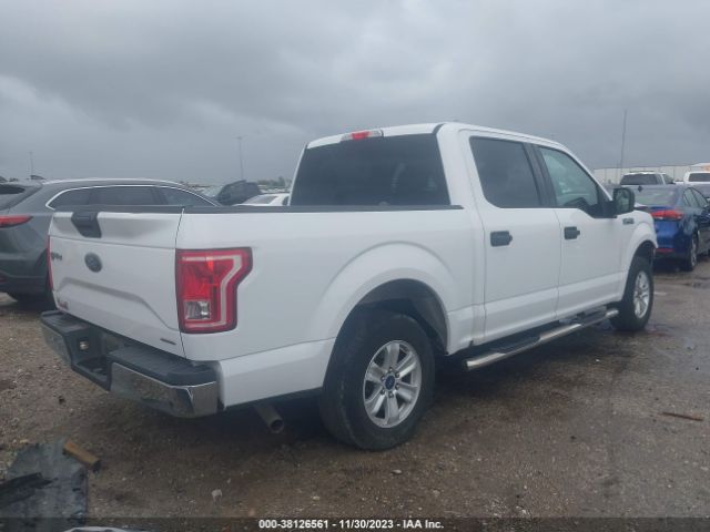 Photo 3 VIN: 1FTEW1C81GKD29025 - FORD F-150 