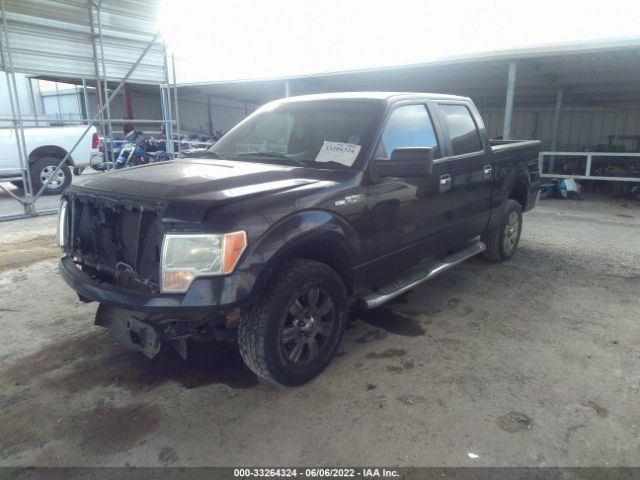 Photo 1 VIN: 1FTEW1C82AFB70113 - FORD F-150 