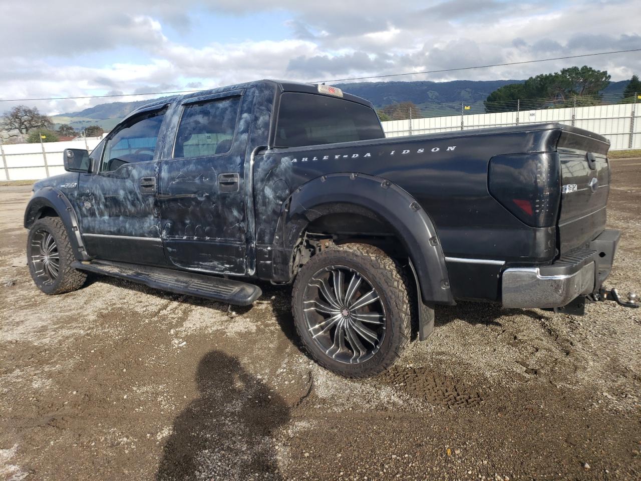 Photo 1 VIN: 1FTEW1C82AFC36613 - FORD F-150 