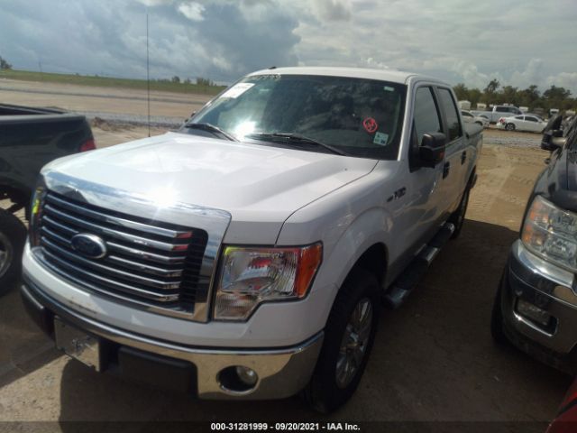 Photo 1 VIN: 1FTEW1C82AKA58841 - FORD F-150 