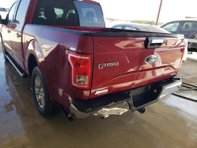 Photo 8 VIN: 1FTEW1C82GKF64081 - FORD F150 SUPER 