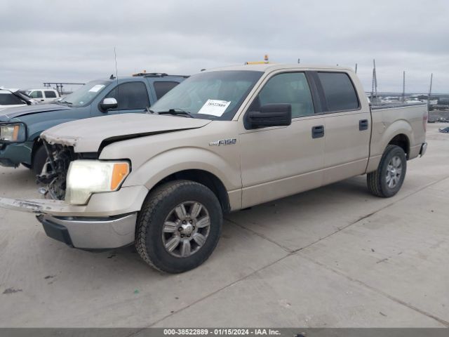 Photo 1 VIN: 1FTEW1C83AFB07411 - FORD F-150 