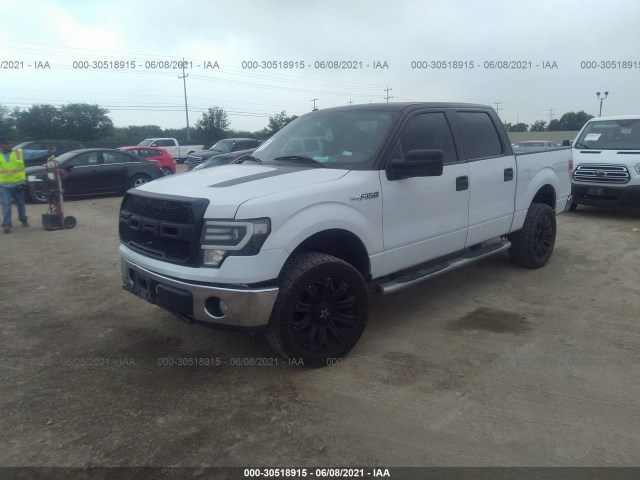 Photo 1 VIN: 1FTEW1C83AKE26136 - FORD F-150 