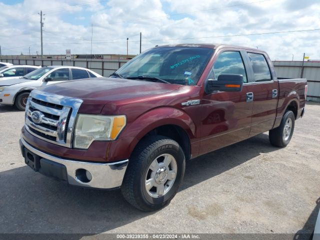 Photo 1 VIN: 1FTEW1C83AKE50758 - FORD F-150 