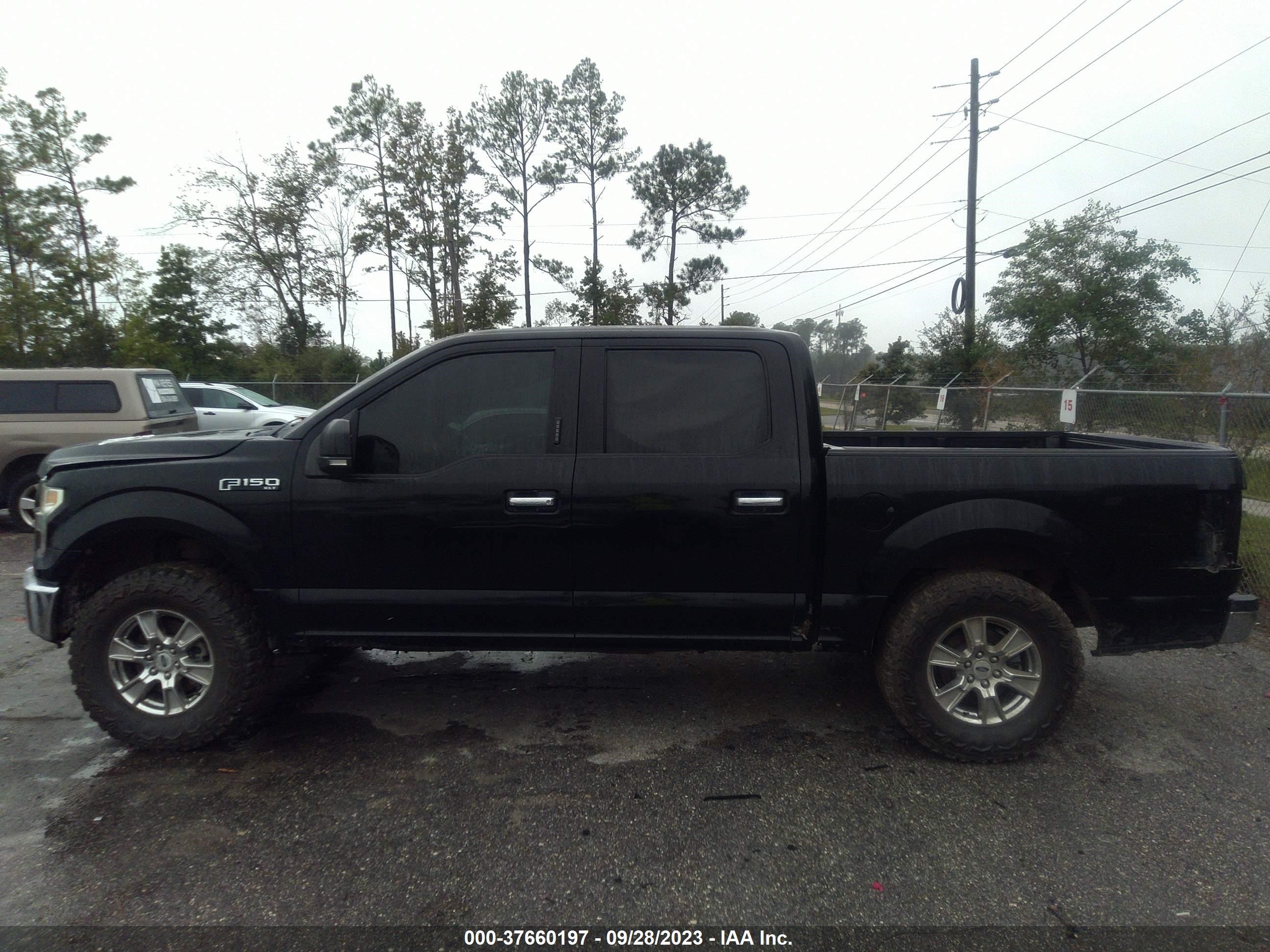 Photo 13 VIN: 1FTEW1C83HFA35622 - FORD F-150 