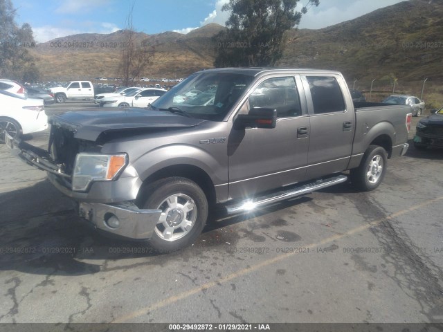 Photo 1 VIN: 1FTEW1C84AFD80311 - FORD F-150 