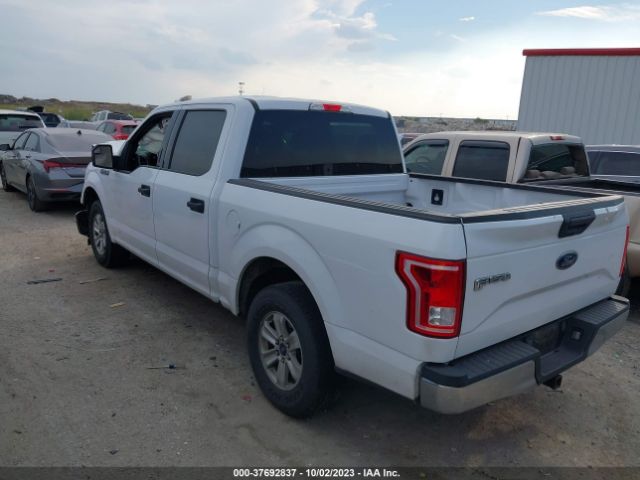 Photo 2 VIN: 1FTEW1C84HKD07070 - FORD F-150 