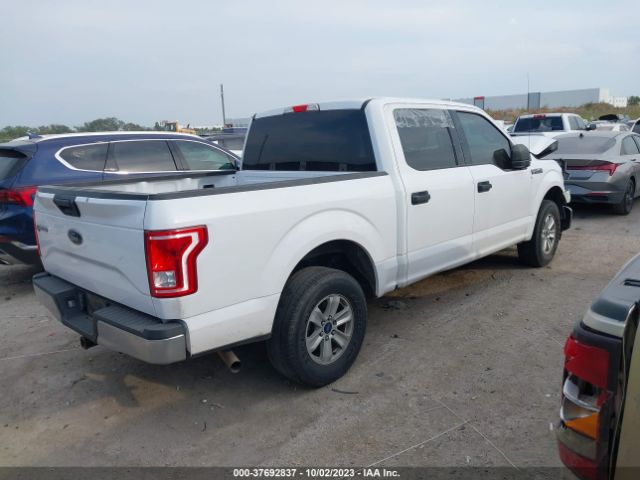 Photo 3 VIN: 1FTEW1C84HKD07070 - FORD F-150 