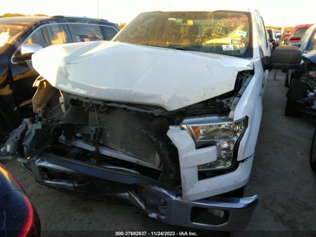 Photo 5 VIN: 1FTEW1C84HKD07070 - FORD F-150 