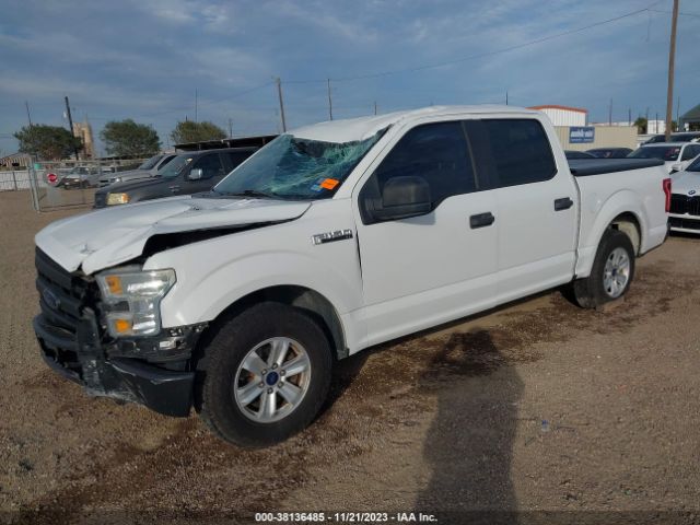 Photo 1 VIN: 1FTEW1C85FFC93024 - FORD F-150 