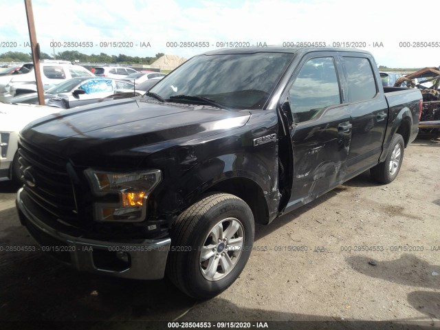 Photo 1 VIN: 1FTEW1C85FKD02828 - FORD F-150 