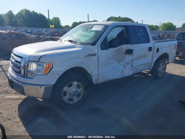 Photo 1 VIN: 1FTEW1C86AFB20606 - FORD F150 