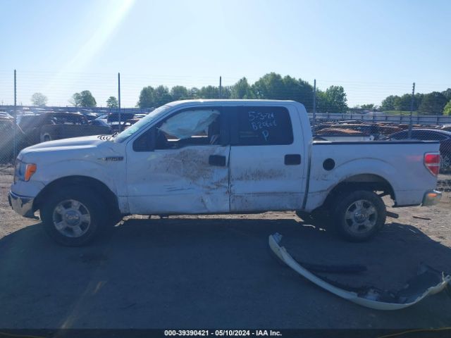 Photo 5 VIN: 1FTEW1C86AFB20606 - FORD F150 