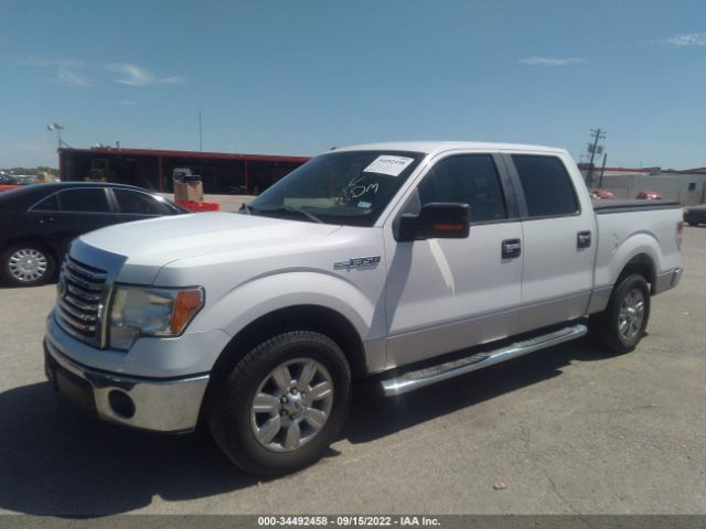 Photo 1 VIN: 1FTEW1C86AFD87695 - FORD F-150 